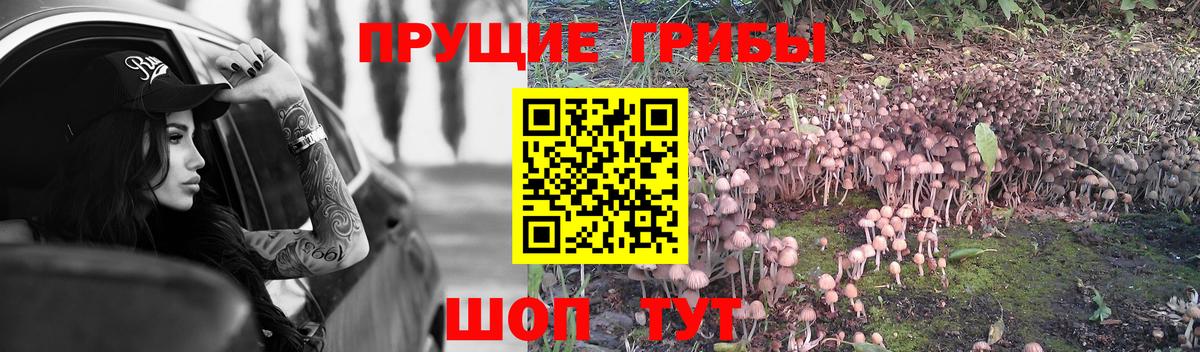 купить  цена  Псилоцибиновые грибы Psilocybe  Вход с VPN  Домодедово 